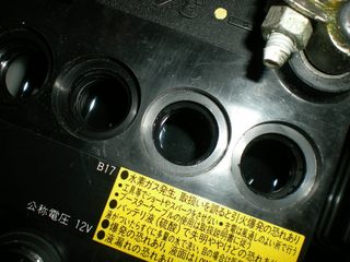 DSCN7635