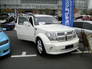 P1000224 P1000224