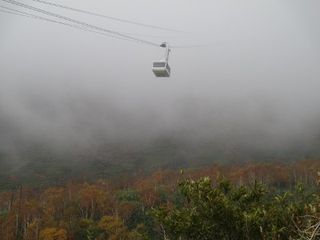IMG_0040 IMG_0040