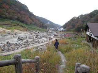 IMG_0050 IMG_0050