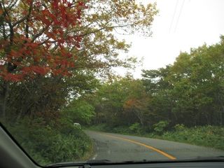 IMG_0028 IMG_0028