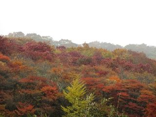 IMG_0044 IMG_0044