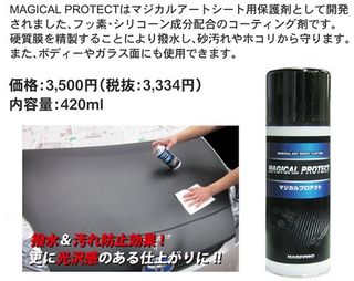 Magical_protect_1[1]